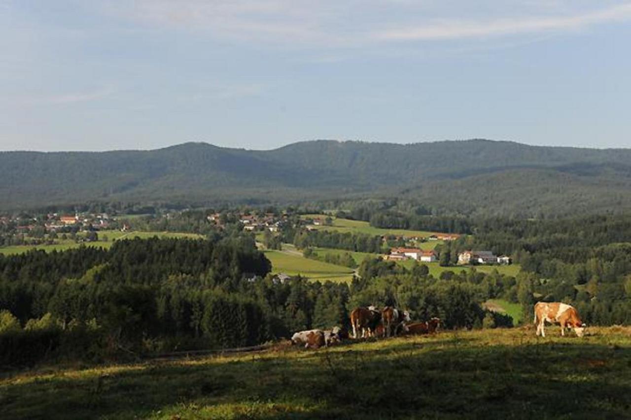 Exenbacher Hof Arnbruck Exteriör bild