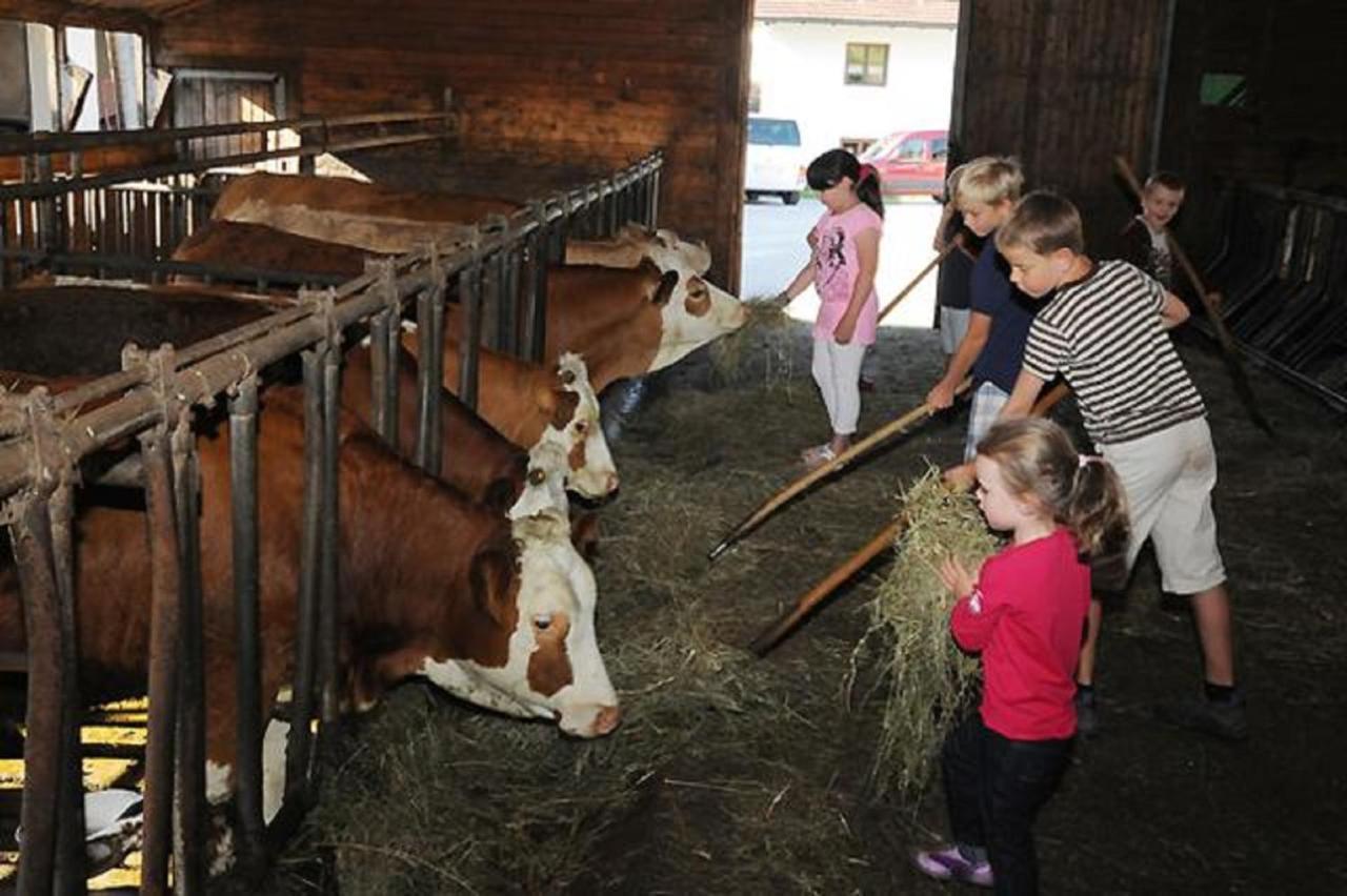 Exenbacher Hof Arnbruck Exteriör bild